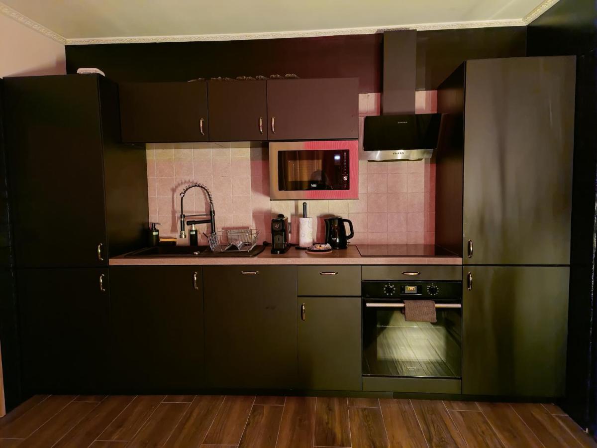 La Loveroom Bdsm De Nice " La Chambre Luxe Des Desirs " Buitenkant foto